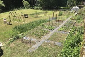 Jardin<br />
nourricier