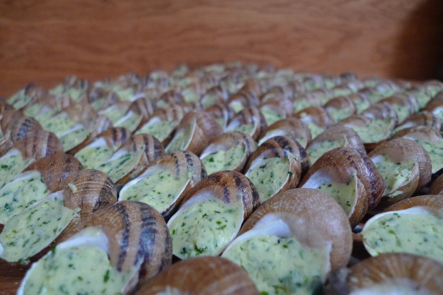 escargotsencoquillesalabourguignonne Moulin Burignat Écoferme en mouvelent
